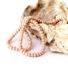 Pearl string on a sea shell