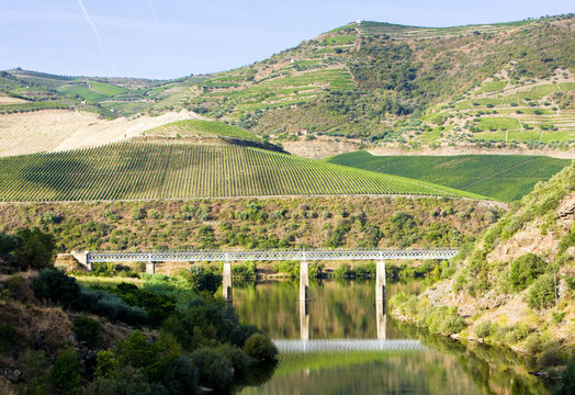 railway viaduct in Douro Valley, Portugal