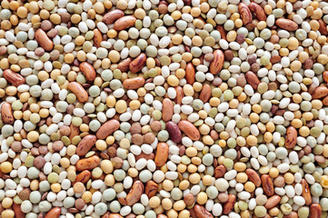 Mixed pulse – lentils, peas, soybeans, beans - background