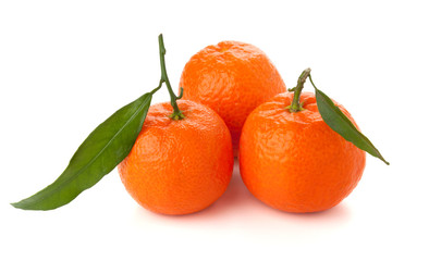 Three ripe tangerines