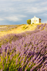 chapel with lavender field,Plateau de Valensole,Provence, France