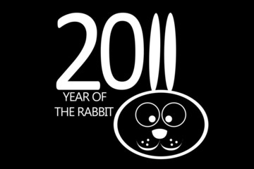 New year 2011 concept with rabbit