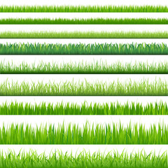 Obraz premium Wielkie trawy
