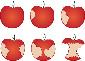 Series of red apple as it is eaten
