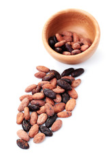 cocoa beans
