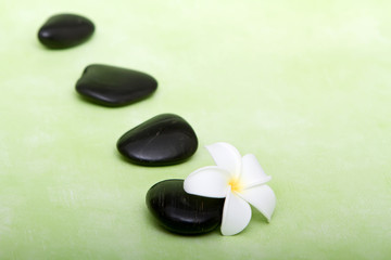 Fototapeta na wymiar Spa stones and tropical frangipani flower