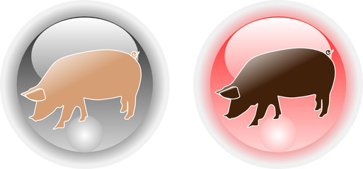 pig web icon button color vector illustration