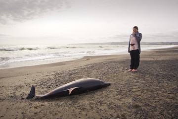 Dead Dolphin 05
