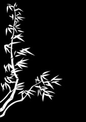 bamboo white silhouette