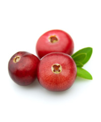 Cranberry