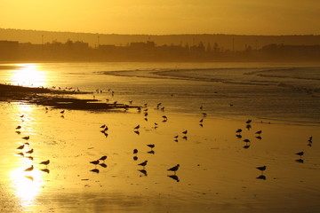 Morocco, Essaouira