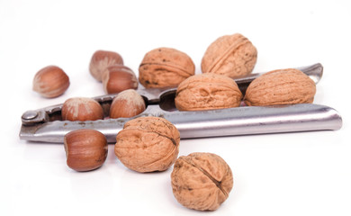 noix, noisettes et casse noix