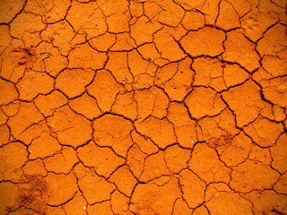 Dry Cracked Ground
