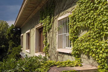 House and plants