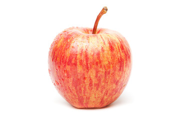 Apple Isolated