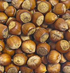 Hazelnuts