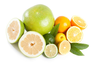 citrus collection