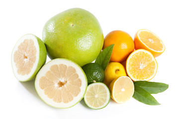 Fototapeta na wymiar citrus collection