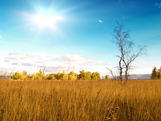 Fototapeta premium Valley landscape