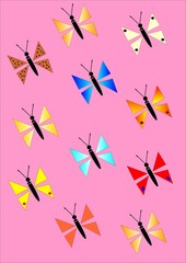 butterfly, vector illustration