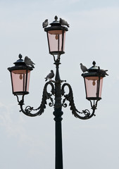 Fototapeta na wymiar Venetian lamp post with pigeons