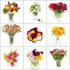 collection of flowers