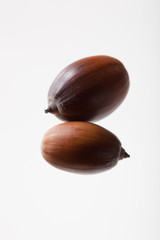 seed(acorn)_013