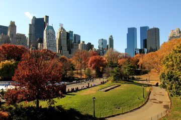Naklejka premium Autumn in the Central Park.