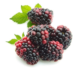 Group ripe blackberry