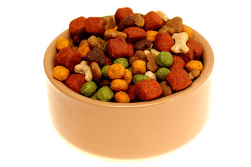 Bowl of Dog Food