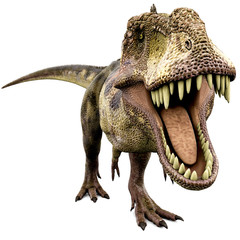 tyrannosaurus looking for food © DM7