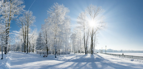 Obraz premium winter