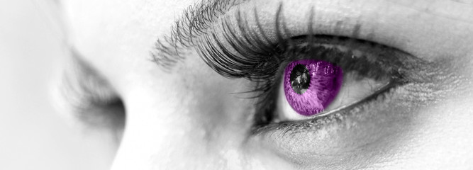 Purple Eye - Beautiful, Feminine