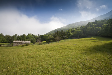 the house in the meadow