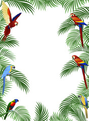 Obrazy  Papuga ptak