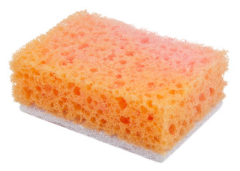 China sponge on a white background