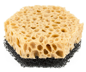 China sponge on a white background