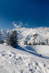Zima w Alpach - obrazy, fototapety, plakaty