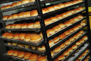 bread factory production