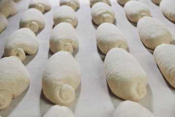 bread factory production