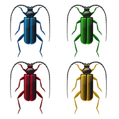 Multicolored beetles on white background - vector file