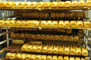 bread factory production