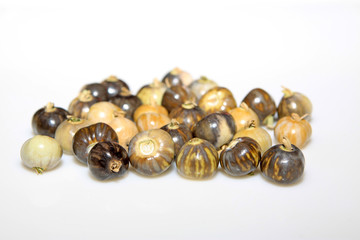 plant seeds