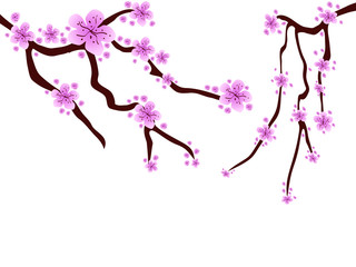 Obraz na płótnie Canvas plum blossom