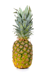 Fototapeta premium Fresh ananas