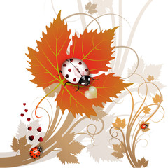 Vector illustration of a ladybug on leaf