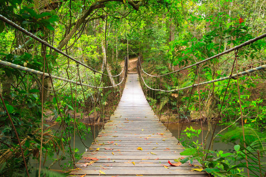 Fototapeta Fototapeta Most w dżungli Tajlandia przestrzenna