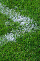 soccer grass edge