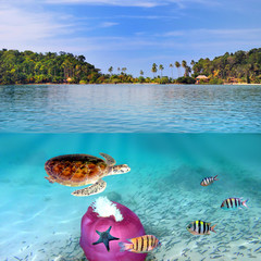 Fototapeta premium Tropical paradise