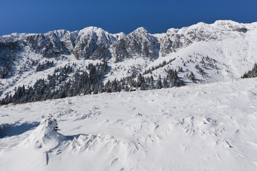 Fototapeta na wymiar Winter Mountain Landscape
